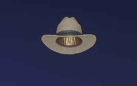 cayuga hat rdr2