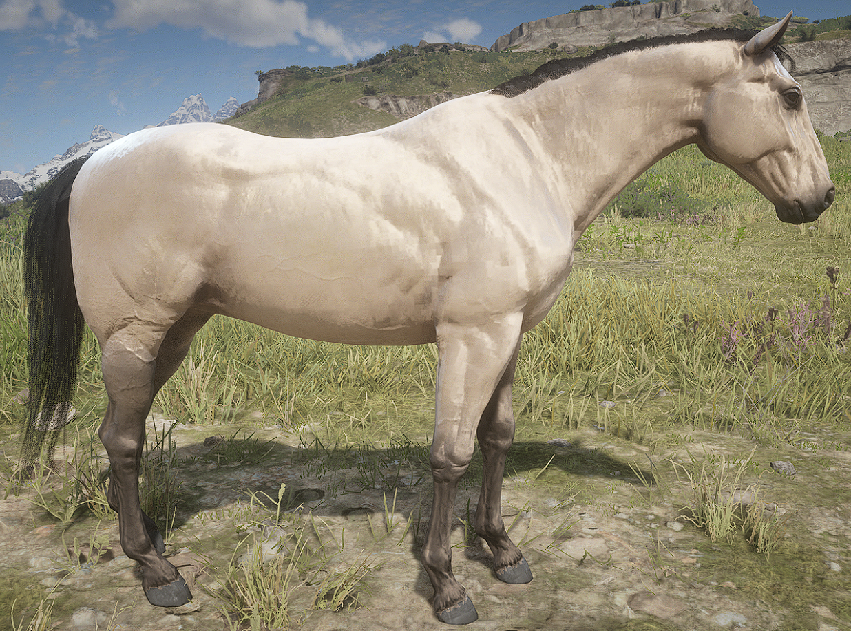 light buckskin horse