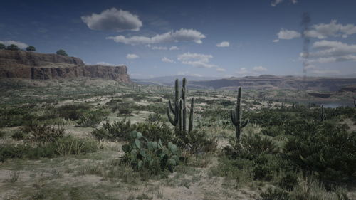 Could contain: outdoor, cloud, sky, plant, shrubland, landscape, plant community, cactus, saguaro, chaparral, mountain, desert