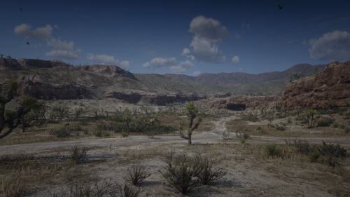 Could contain: outdoor, cloud, sky, plant, shrubland, tree, mountain, ecoregion, plant community, chaparral, wilderness, ground, badlands, landscape, savanna, desert, nature, field