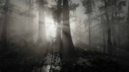 Could contain: fog, landscape, nature, outdoor, mist, forest, black and white, plant, tree, wood