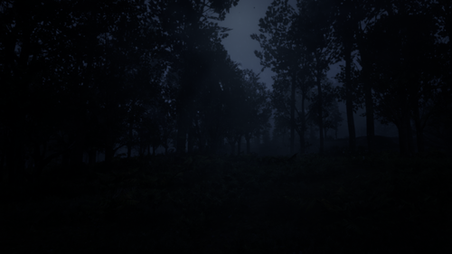 Could contain: tree, outdoor, fog, landscape, mist, sky, darkness, nature, night, dark, forest