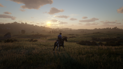 Could contain: outdoor, grass, sky, field, cloud, riding, landscape, horse, person, sunset